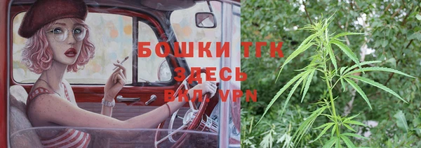 индика Киренск