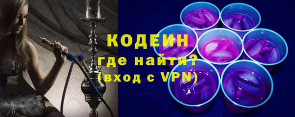 индика Киренск