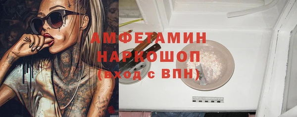 ПСИЛОЦИБИНОВЫЕ ГРИБЫ Козловка