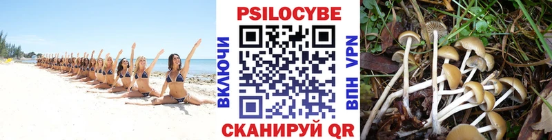 как найти закладки  Петрозаводск  Псилоцибиновые грибы GOLDEN TEACHER 
