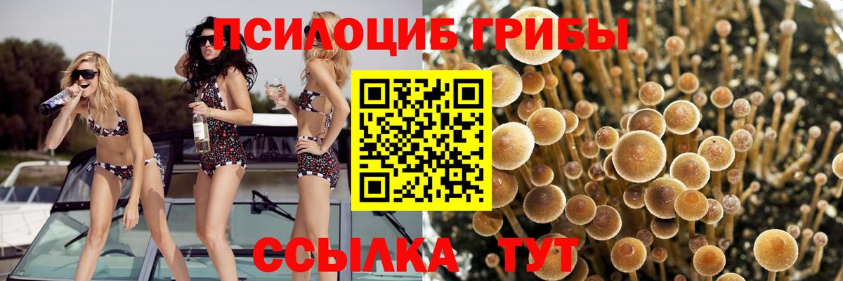 Петрозаводск  Псилоцибиновые грибы Magic Shrooms  Вход с VPN 